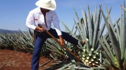 19R-MMM001SS : ORIGINAL MEXICAN RING MARIA