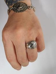 26R-SGH001S : RING / HORSE