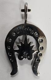 18NT-HSA001SS : PENDANT / HORSESHOE & AGAVE