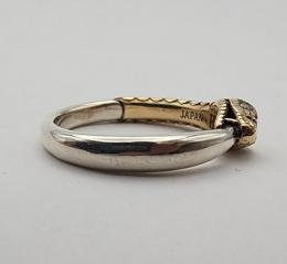 25HS-R-UB01-K10,K18YG&SV : RING "OUROBOROS RING"