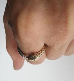 25HS-R-UB01-K10,K18YG&SV : RING "OUROBOROS RING"